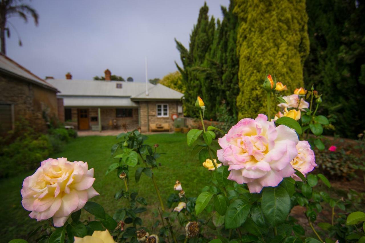 Grand Cru Estate Homestead Springton Dış mekan fotoğraf